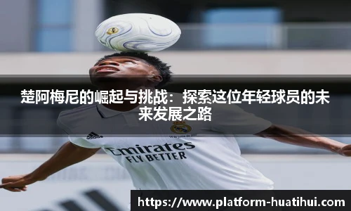 hth体育官网入口